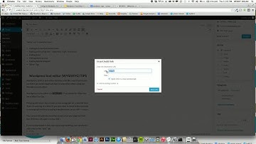 Using the Wordpress Text Editor