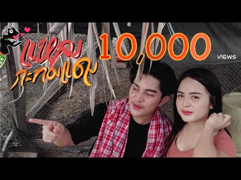 แหลงกะทองแดง - เวฟ ธัชนนท์ [ COVER VERSION ]   original วงพัทลุง พาราฮัท