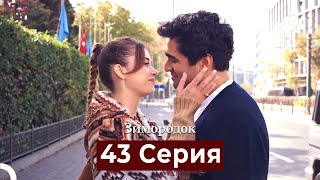 Зимородок 43 Cерия (Русский дубляж)