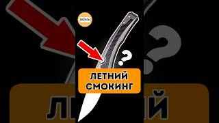 Этот EDC Нож как белая Ворона - Автоматический складной нож Zero Tolerance ZT0556 CPM MagnaCut, США