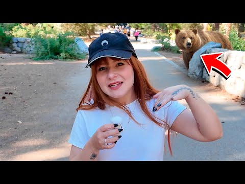 I FOUND A REAL BEAR IN THIS FOREST IN THE USA