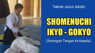 BELADIRI PRAKTIS AIKIDO : JURUS AIKIDO
