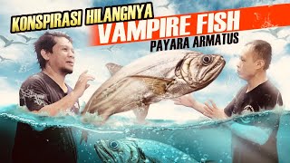 EPISODE KOLEKTOR!! IKAN PREDATOR PAYARA ARMATUS SUPER AGRESIF | KOK BISA?!?