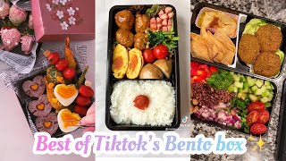 Bento Box 🍱 | Tiktok Compilation 3