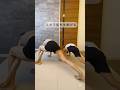 前もも削れる腸腰筋くるくるストレッチ#腸腰筋 #下半身痩せ #脚やせ #下半身ダイエット #簡単エクササイズ #産後ダイエット #簡単ストレッチ #ストレッチ動画 #ママダイエット #宅トレ