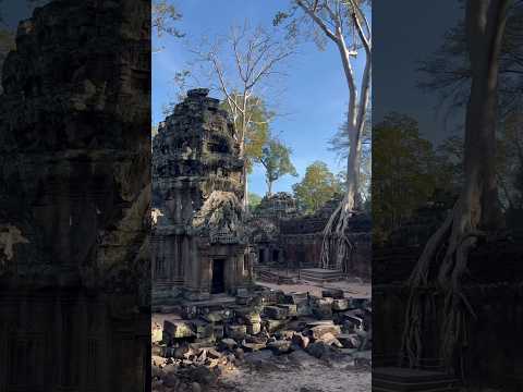 Video: Angkor Wat Kambodžoje: patarimai ir vadovas