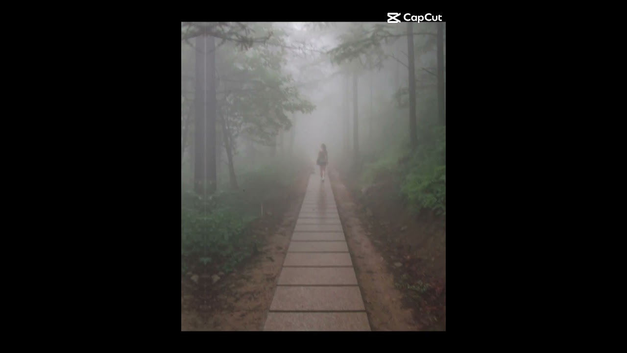 Introducing my disasters to the world :) 