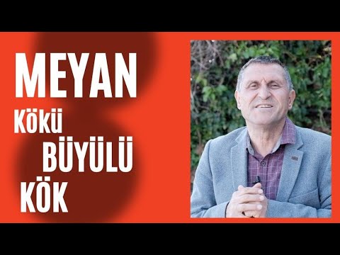 Video: Küçük Ravent Saplarının Sebebi Nedir: Raventin İnceltilmesiyle Ne Yapılmalıdır?