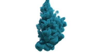 Covector Fluids (SIGGRAPH 2022)