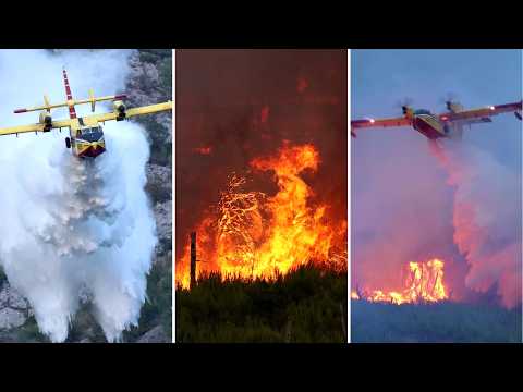 DIVING INTO FIRE!