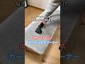 yadea 加熱・スチーム式 カーペットクリーナー