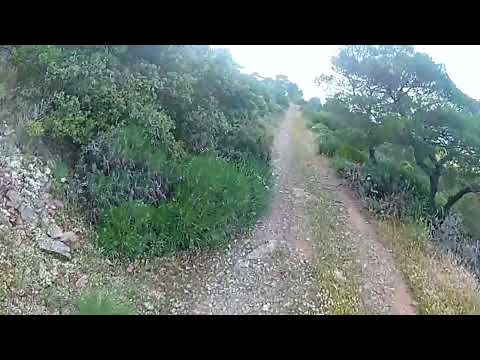 Hard off road
