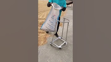 Dụng cụ hốt lúa quá tiện lợi #shorts