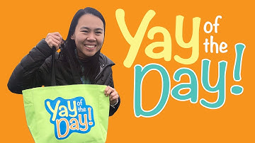 Claire Hsieh: Henrico Virtual Academy