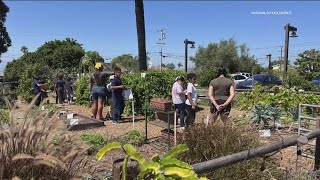 South Bay school district among California’s top 'green' schools