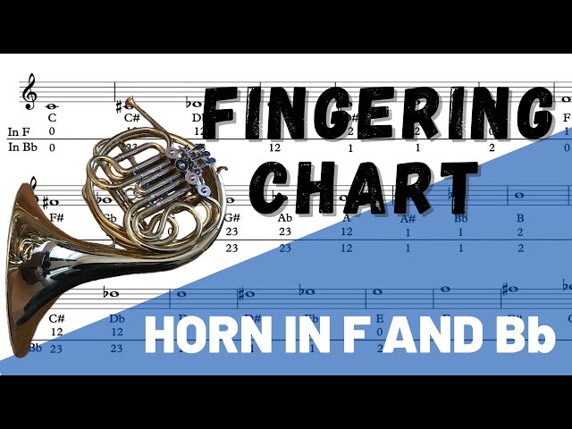 Complete French Horn Fingering Chart: Easy Reference 3 sddefault