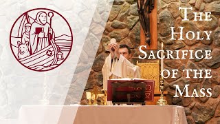 The Dedication of the Lateran Basilica | Nov. 09, 2025