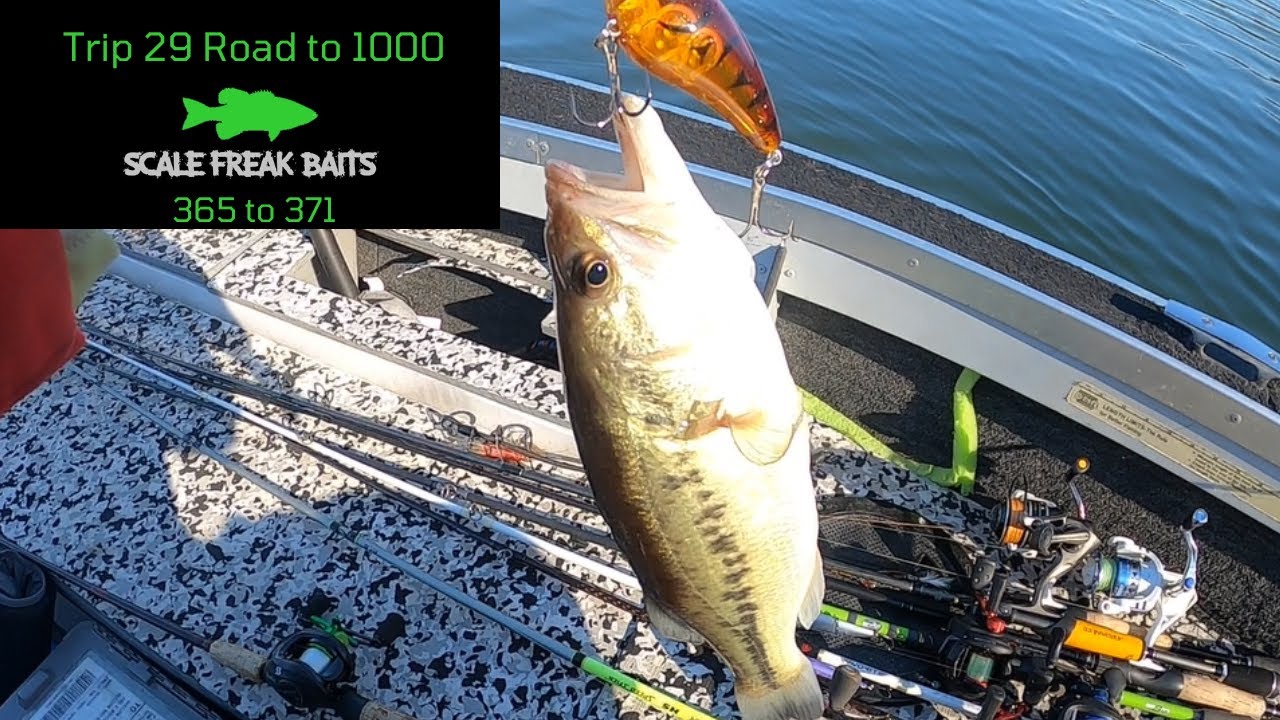 Winter Bass Fishing Tips Trip 29 Road to 1000