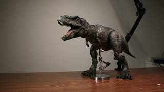 T. Rex Roar Animation