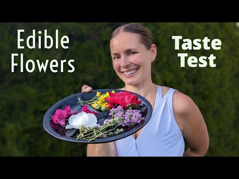 Delicious And Disgusting Taste Testing Homegrown Edible Flowers