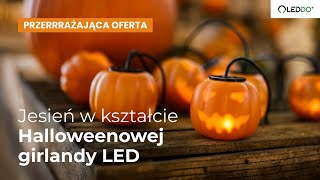 Girlanda Bateryjna Przerrrażające Lampki Dynie Na Halloween Leddo