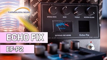 Echo Fix EF-P2 - 100% Analog Spring Reverb | Turra Music