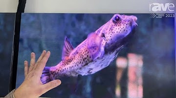 ISE 2023: Dahua Technology Shows New Dahua COB LED and Chip-on-Glass Technology