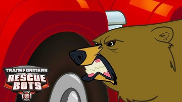 CARTOON MARATHON 24/7 | Transformers: Rescue Bots 🔴 | SEASON 1 |  Transformers Junior