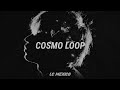 COSMO LOOP - SUB ESP - LOCAL CONNECT