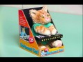 Keyboard cat  the toy
