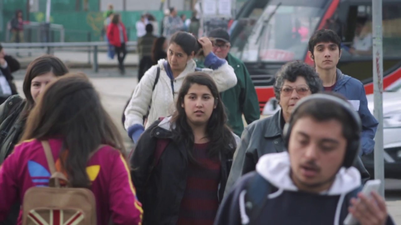 Futuros profesores UPLA trabajan por la enseñanza de las Ciencias playa mujeres