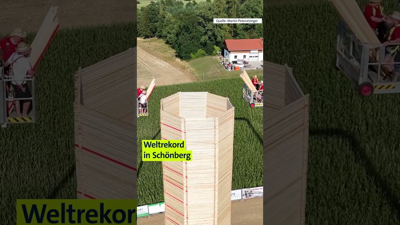 Dorf stapelt 25 Meter Holzturm - und Wind stürzt ihn um! | #Shorts