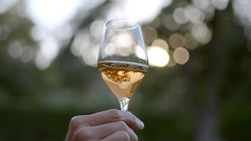 Sparkling Wine Vs. Champagne?