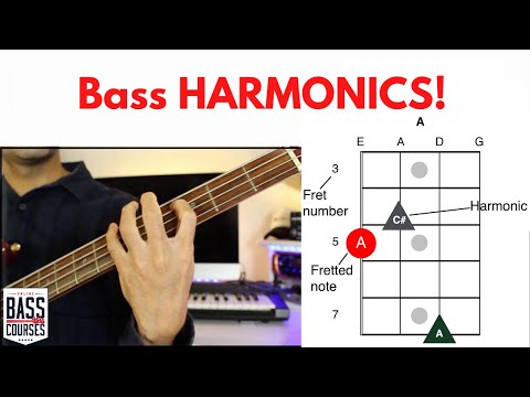 27-harmonics-chords-for-bass-guitar---with-diagrams