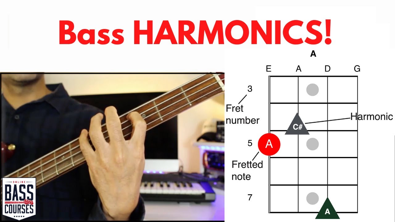 Bass Harmonics Learn 27 Chords For Bass Guitar With DIAGRAMS YouTube Bass Harmonics Learn 27 Chords For Bass Guitar With DIAGRAMS YouTube