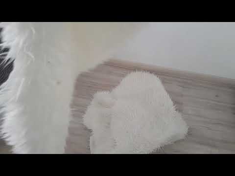 Коврики-шкурки из ИКЕА после месяца использования и первой стирки Коврики-шкурки из ИКЕА после месяца использования и первой стирки