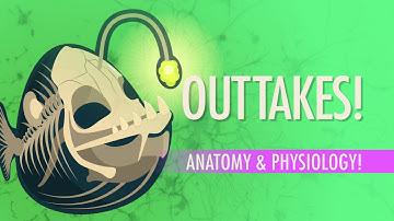 Outtakes #3: Crash Course A&P