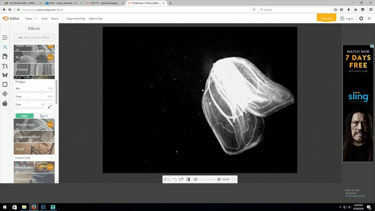 Tool Review: Pic Monkey Overview