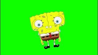 Green Screen SpongeBob SquarePants | NoCopyRight
