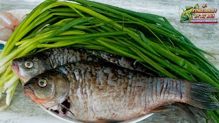 видео: Очень вкусный и популярный в Китае рецепт, Жареные караси с зелёным луком от Fisherman DV.27 Rus картинка: Очень вкусный и популярный в Китае рецепт, Жареные караси с зелёным луком от Fisherman DV.27 Rus