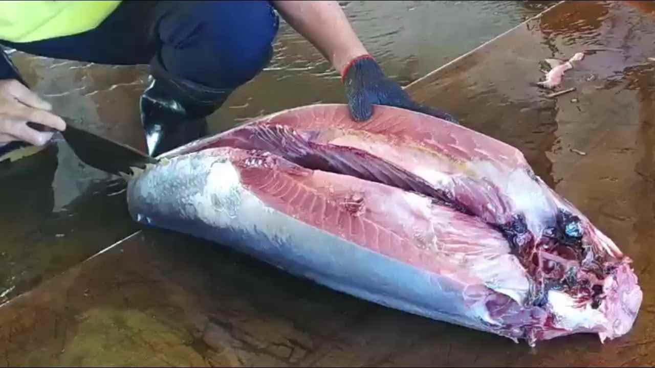 Нарезка за 1 минуту — самый быстрый навык нарезки тунца