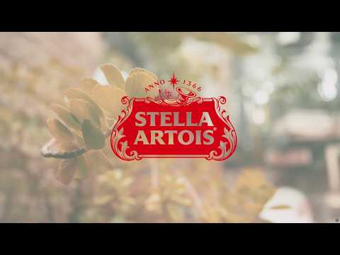 Stella Chefs POA