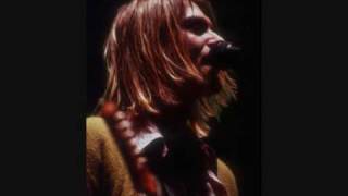 Nirvana - On A Plain - Live In Paris 02/14/94