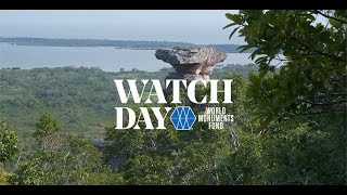 Watch Day Celebration - Monte Alegre, Brazil