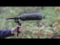 Shotgun Microphone Basics