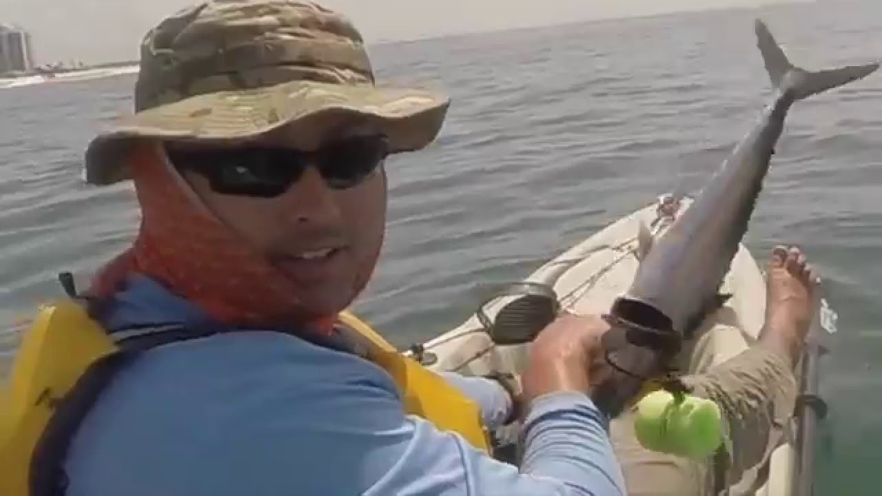 Kayak Fishing The BIGGEST FISH on the GULF COAST!! Pensacola, Florida 74 YouTube