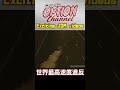 世界最高速度違反の決定的瞬間【 VIDEO OPTION 傑作選 #006】Exciting JDM videos #Shorts