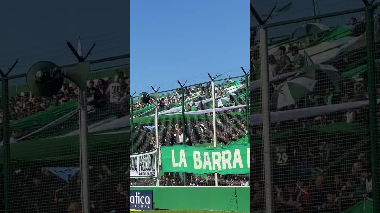Dale verde dale veeee 💚🎶