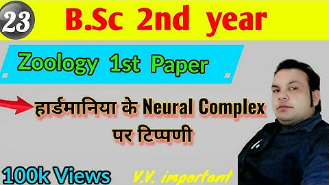 Commentary on Hardmania