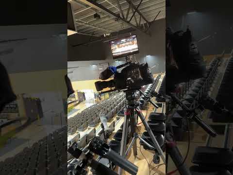 Another Day Another Job